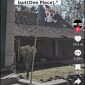 Screenshot dari akun Tiktok @digitalguidea