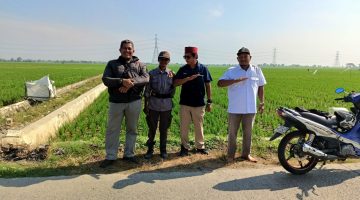 Kekeringan Ancam Sawah di Kutawaluya, Petani Harap Pemerintah dan PJT II Cari Solusi