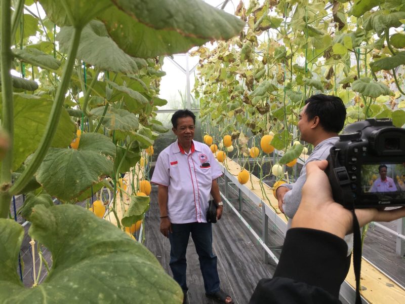 Keterangan Poto: opening greenhouse melon premium milik BUMdes Desa Wadas