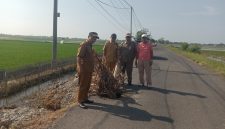 Keterangan Poto: Romli Sunarya, Camat Pedes bersama jajaran langsung turun ke lokasi untuk melakukan peninjauan