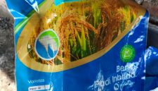 Keterangan Foto: Diduga Disunat, Bantuan Bibit Padi di Rengasdengklok Malah Jadi Beras