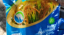 Keterangan Foto: Diduga Disunat, Bantuan Bibit Padi di Rengasdengklok Malah Jadi Beras