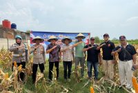 Keterangan Foto: Iptu Cahya Hardiansyah Kapolsek Purwasari dan Nendi Sopandi Camat Purwasari bersama Abdul Rojak Kepala Desa Cengkong unsur JKC, serta masyarakat setempat panen jagung hibrida