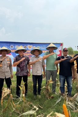 berita-rekomendasi-foto