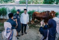 Doc. Istimewa Bupati Karawang Aep Syaepuloh saat melihat langsung kondisi sapi kurban di Rumah Dinas Bupati Karawang
