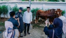 Doc. Istimewa Bupati Karawang Aep Syaepuloh saat melihat langsung kondisi sapi kurban di Rumah Dinas Bupati Karawang