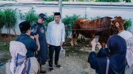 Doc. Istimewa Bupati Karawang Aep Syaepuloh saat melihat langsung kondisi sapi kurban di Rumah Dinas Bupati Karawang