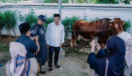 Doc. Istimewa Bupati Karawang Aep Syaepuloh saat melihat langsung kondisi sapi kurban di Rumah Dinas Bupati Karawang