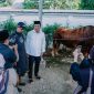 Doc. Istimewa Bupati Karawang Aep Syaepuloh saat melihat langsung kondisi sapi kurban di Rumah Dinas Bupati Karawang