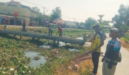 Perum Jasa Tirta (PJT) wilayah Pedes melaksanakan kegiatan gotong royong (gorol) membersihkan saluran irigasi (foto: istimewa)