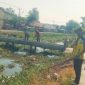 Perum Jasa Tirta (PJT) wilayah Pedes melaksanakan kegiatan gotong royong (gorol) membersihkan saluran irigasi (foto: istimewa)
