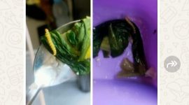 Gambar sayur MBG Ciptamargi 002 yang terlihat ada ulatnya 