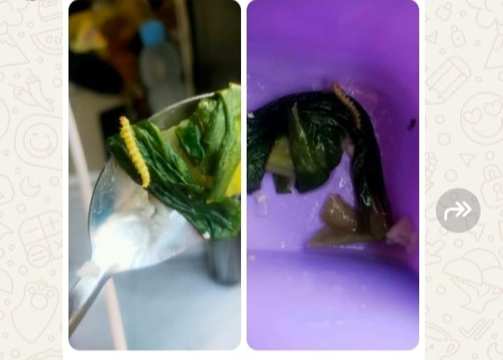 Gambar sayur MBG Ciptamargi 002 yang terlihat ada ulatnya 