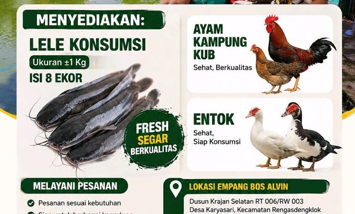 foto slider headline