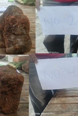 berita-rekomendasi-foto